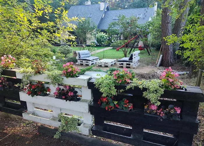 Forrest Dom W Lesie *