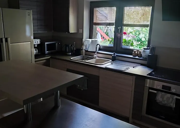 Forrest Dom W Lesie *